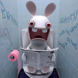lapin_cretin_toilettes.jpg
